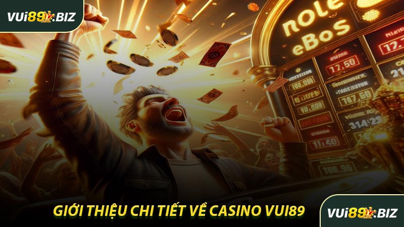 Giới Thiệu Chi Tiết Về Casino VUI89