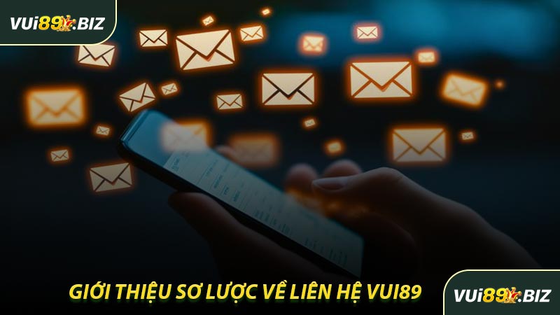 Giới Thiệu Sơ Lược Về Liên Hệ VUI89