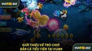 Giới Thiệu Về Trò Chơi Bắn Cá Tiểu Tiên Tại VUI89