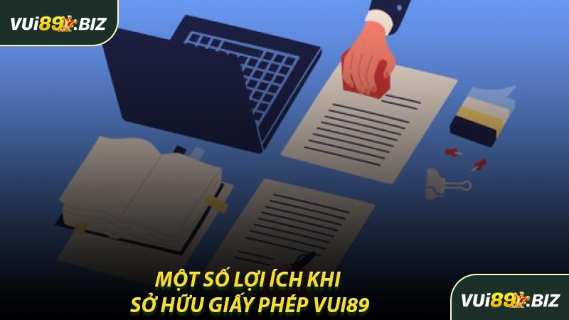 Một Số Lợi Ích Khi Sở Hữu Giấy Phép VUI89