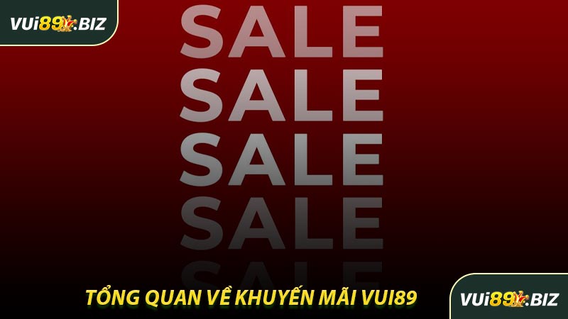 Tổng Quan Về Khuyến Mãi VUI89